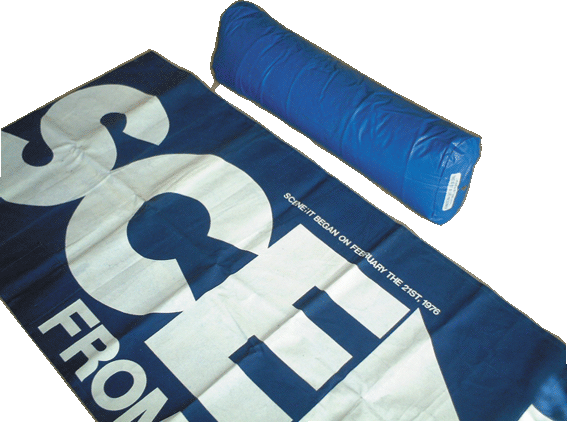 SCENEビーチマット・ピロー部他