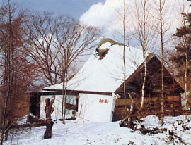 ���VAN��O�S�i